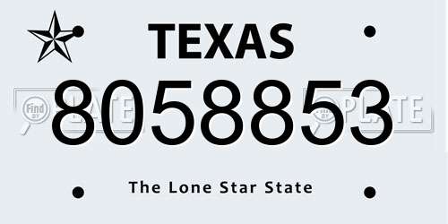 8058853 Texas License Plate