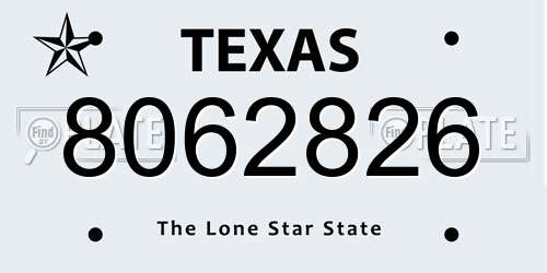 8062826 Texas License Plate