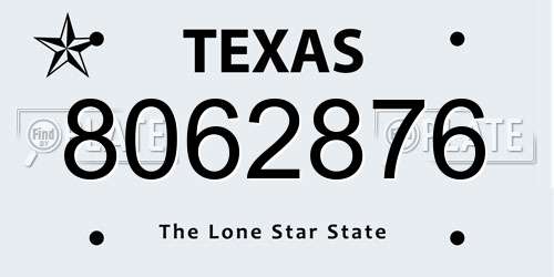 8062876 Texas License Plate