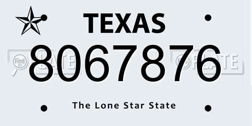 8067876 Texas License Plate