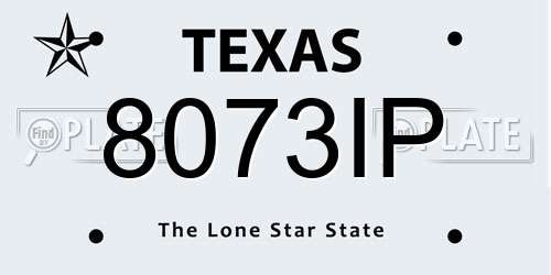8073IP Texas License Plate
