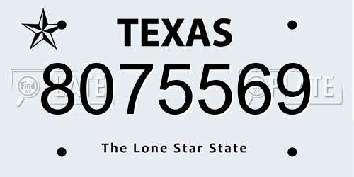 8075569 Texas License Plate