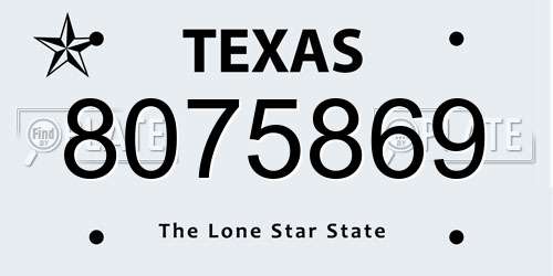 8075869 Texas License Plate