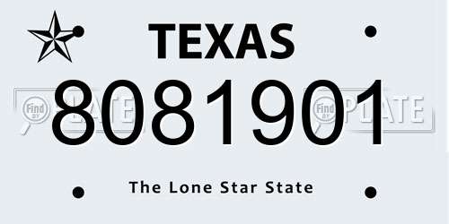 8081901 Texas License Plate