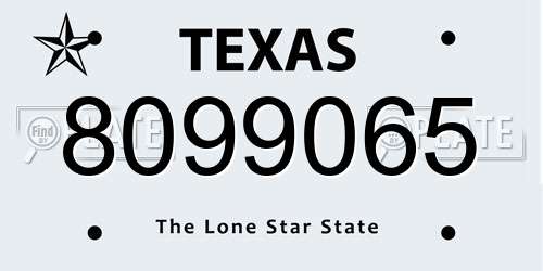 8099065 Texas License Plate