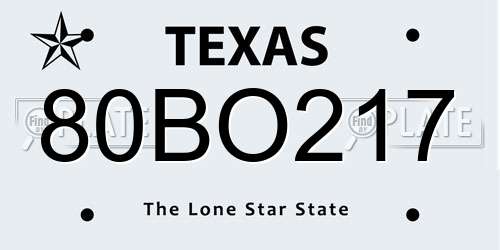 80BO217 Texas License Plate