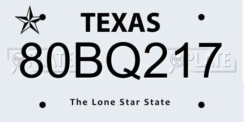 80BQ217 Texas License Plate