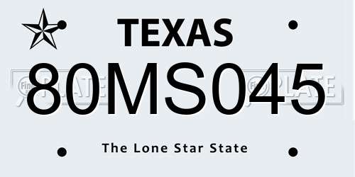 80MS045 Texas License Plate