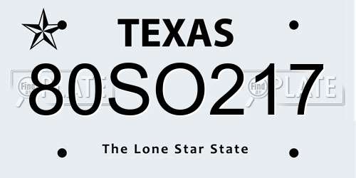 80SO217 Texas License Plate