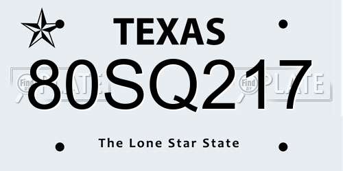 80SQ217 Texas License Plate