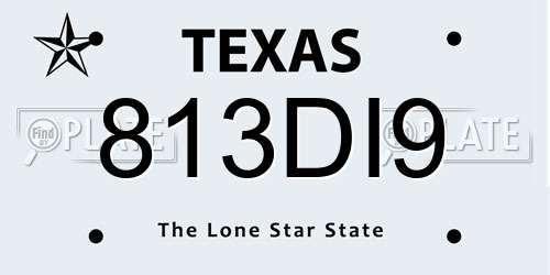 813DI9 Texas License Plate