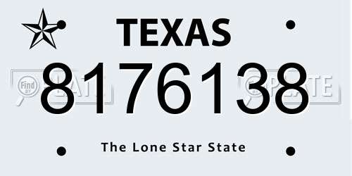 8176138 Texas License Plate