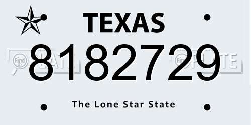 8182729 Texas License Plate