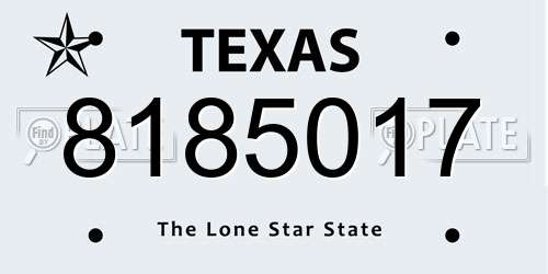 8185017 Texas License Plate