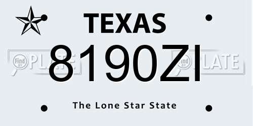 8190ZI Texas License Plate
