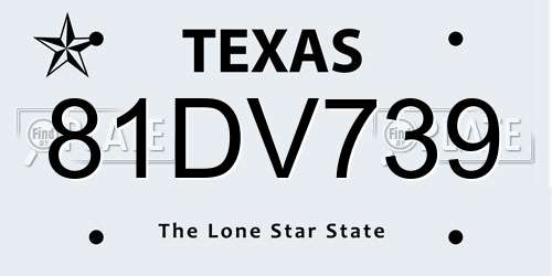 81DV739 Texas License Plate