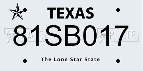 81SB017 Texas License Plate