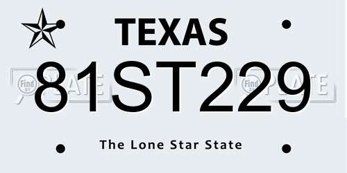 81ST229 Texas License Plate