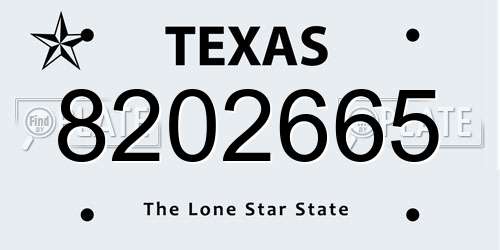 8202665 Texas License Plate