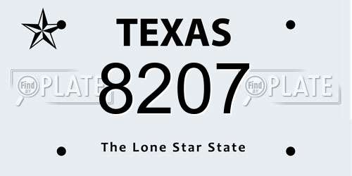 8207 Texas License Plate