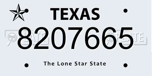 8207665 Texas License Plate