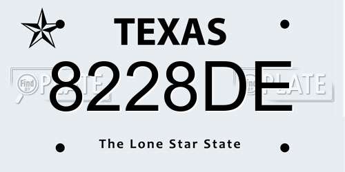 8228DE Texas License Plate