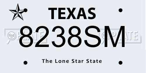 8238SM Texas License Plate