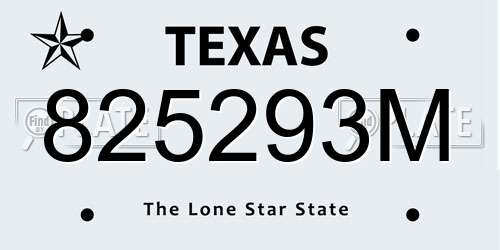 825293M Texas License Plate
