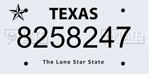 8258247 Texas License Plate