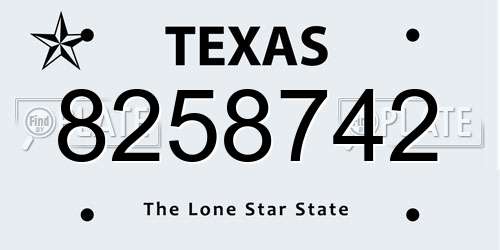 8258742 Texas License Plate