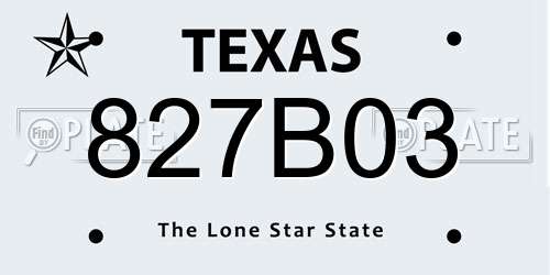 827B03 Texas License Plate