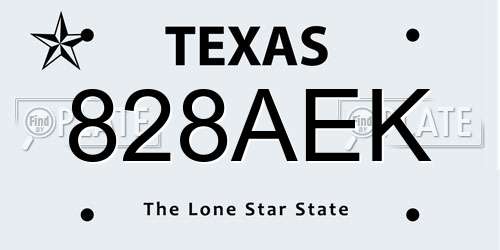 828AEK Texas License Plate