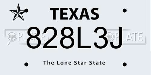 828L3J Texas License Plate