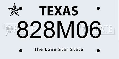 828M06 Texas License Plate