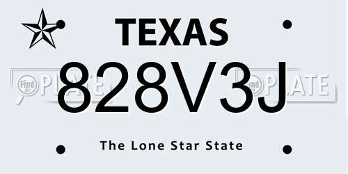 828V3J Texas License Plate
