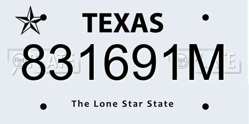 831691M Texas License Plate