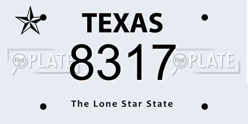 8317 Texas License Plate