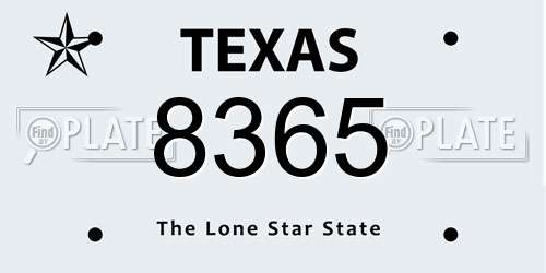 8365 Texas License Plate