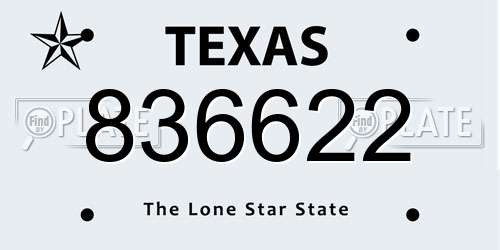 836622 Texas License Plate