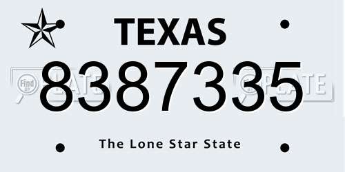 8387335 Texas License Plate