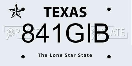 841GIB Texas License Plate