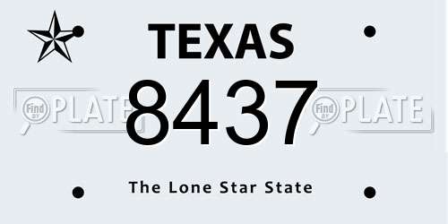 8437 Texas License Plate