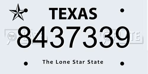 8437339 Texas License Plate
