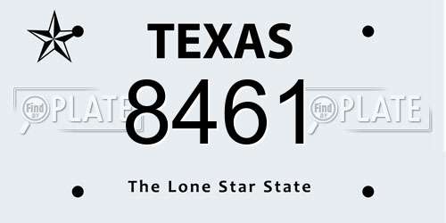 8461 Texas License Plate