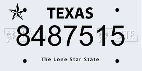 8487515 Texas License Plate