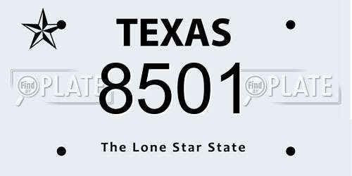 8501 Texas License Plate