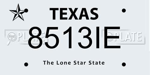 8513IE Texas License Plate