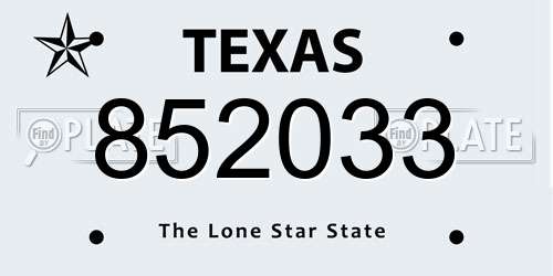 852033 Texas License Plate