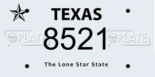 8521 Texas License Plate