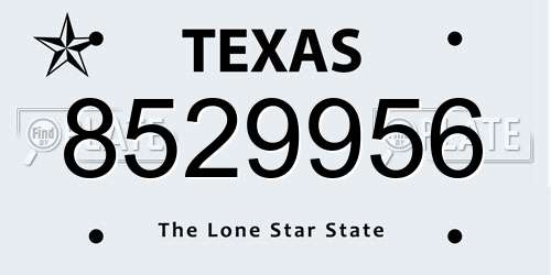 8529956 Texas License Plate